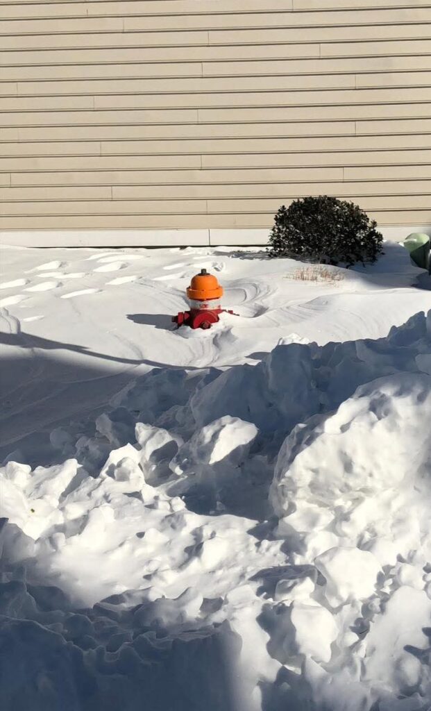 Lend a hand this weekend!